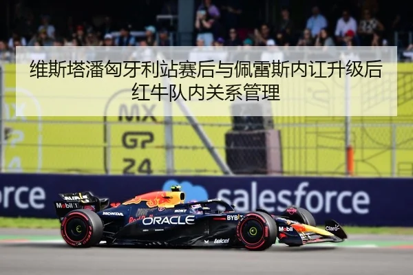 维斯塔潘匈牙利站赛后与佩雷斯内讧升级后红牛队内关系管理