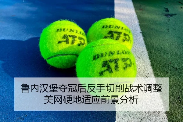 lu-nei-han-bao-duo-guan-hou-fan-shou-qie-xiao-zhan-shu-tiao-zheng-mei-wang-ying-di-shi-ying-qian-jing-fen-xi-1-400.jpg