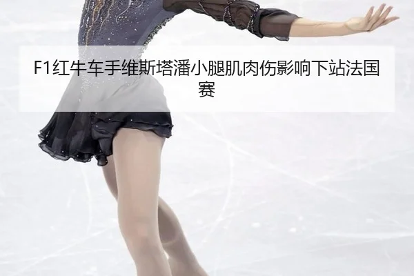 hong-niu-che-shou-wei-si-ta-pan-xiao-tui-ji-rou-shang-ying-xiang-xia-zhan-fa-guo-sai-2-214.jpg
